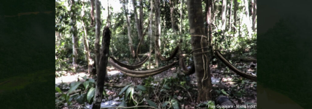 Acampamento usado por grupo isolado Awá Guajá, na Terra Indígena Araribóia (MA). | Cena do filme "Ka’azar Ukize Wà — Os Guardiões da Floresta em Perigo" (2019) | Flay Guajajara - Mídia Índia.