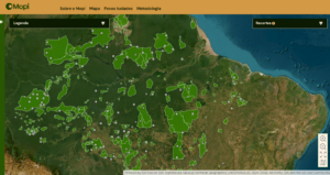 Mapa interativo do Mopi permite acessar dados sobre a vulnerabilidade dos povos isolados.