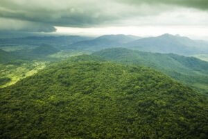 Governo do Pará quer abrir à exploração região de florestas onde vivem povos isolados e de recente contato. Foto: Bruno Cecim/Ag. Pará