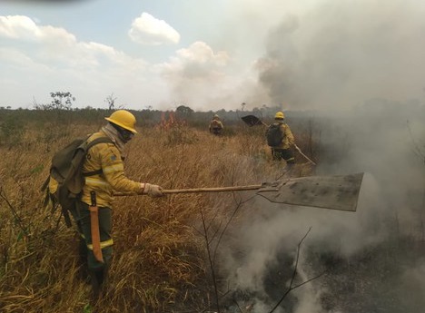 Brigadista combate incêndio na Ilha do Bananal em 2021.