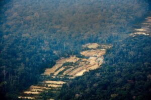 Garimpo ilegal na Terra Indígena Munduruku, município de Jacareacanga, em imagem de setembro de 2020 📷 Marizilda Cruppe/Amazônia Real