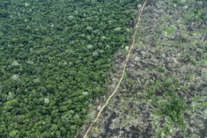 Foto aérea da Terra Indígena Piripkura