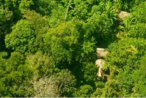 Foto aérea mostrando malocas de indígenas isolados em meio à floresta na Amazônia Peruana.