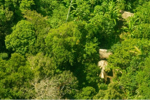 Foto aérea mostrando malocas de indígenas isolados em meio à floresta na Amazônia Peruana.