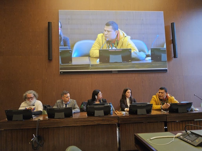 Representantes do GTI Piaci estiveram na 60a Sessão do Conselho de Direitos Humanos da Onu, em Genebra. Foto: Divulgação